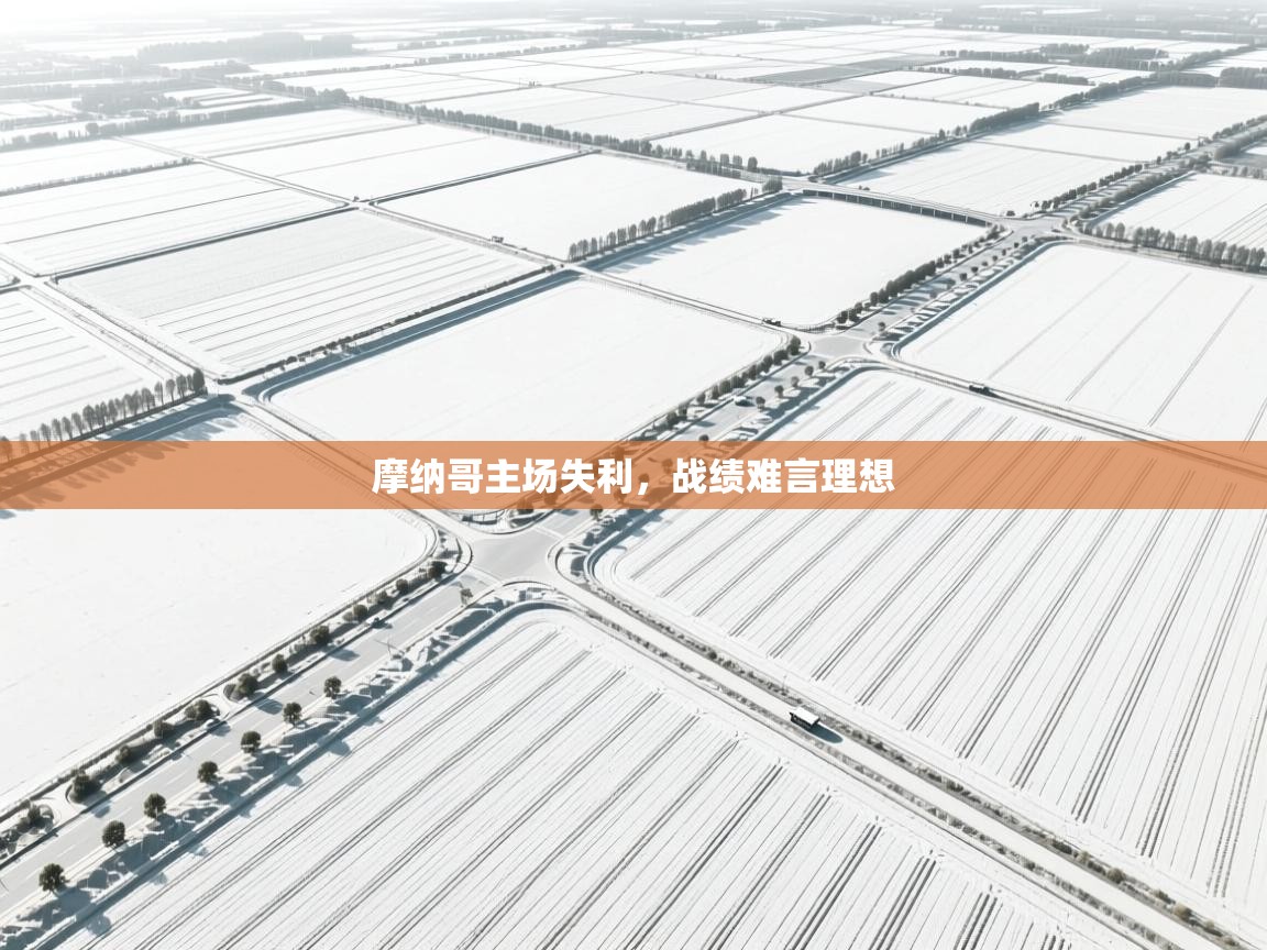 摩纳哥主场失利，战绩难言理想  第1张